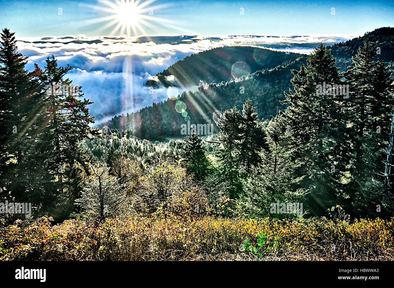 Great Smoky Mountains Nationalpark Stockfoto