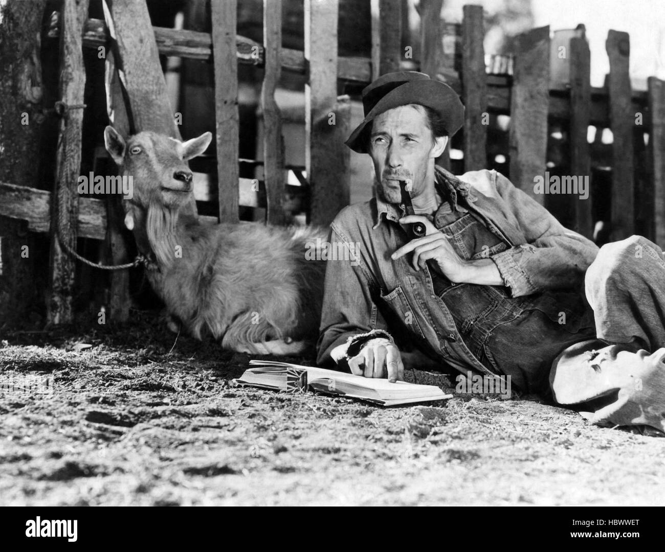 THE GRAPES OF WRATH, John Carradine, 1940, (c) 20th Century Fox, TM & Copyright / Courtesy: Everett Collection Stockfoto