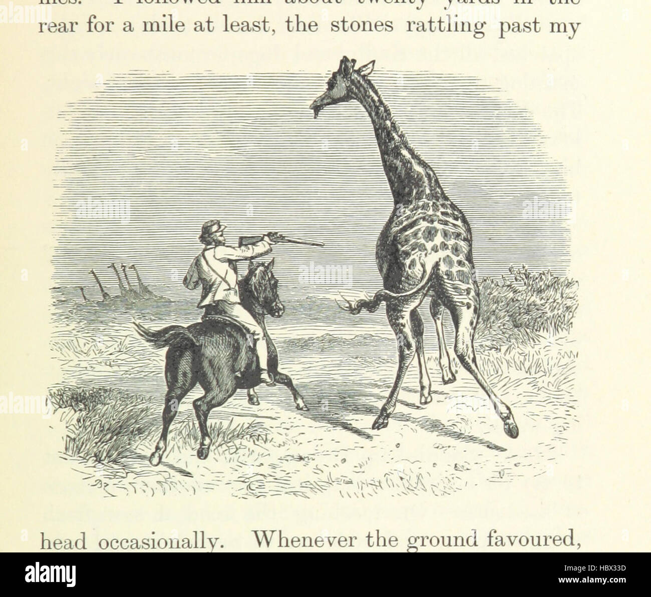 Bild von Seite 197 "[afrikanische Jagd von Natal, Sambesi, einschließlich See Ngami, die Kalahari-Wüste & c. von 1852 bis 1860... Mit Illustrationen [einschließlich ein Portrait] von James Wolf und J. B. Zwecker.] " Bild von Seite 197 "[afrikanische Jagd von Natal Stockfoto