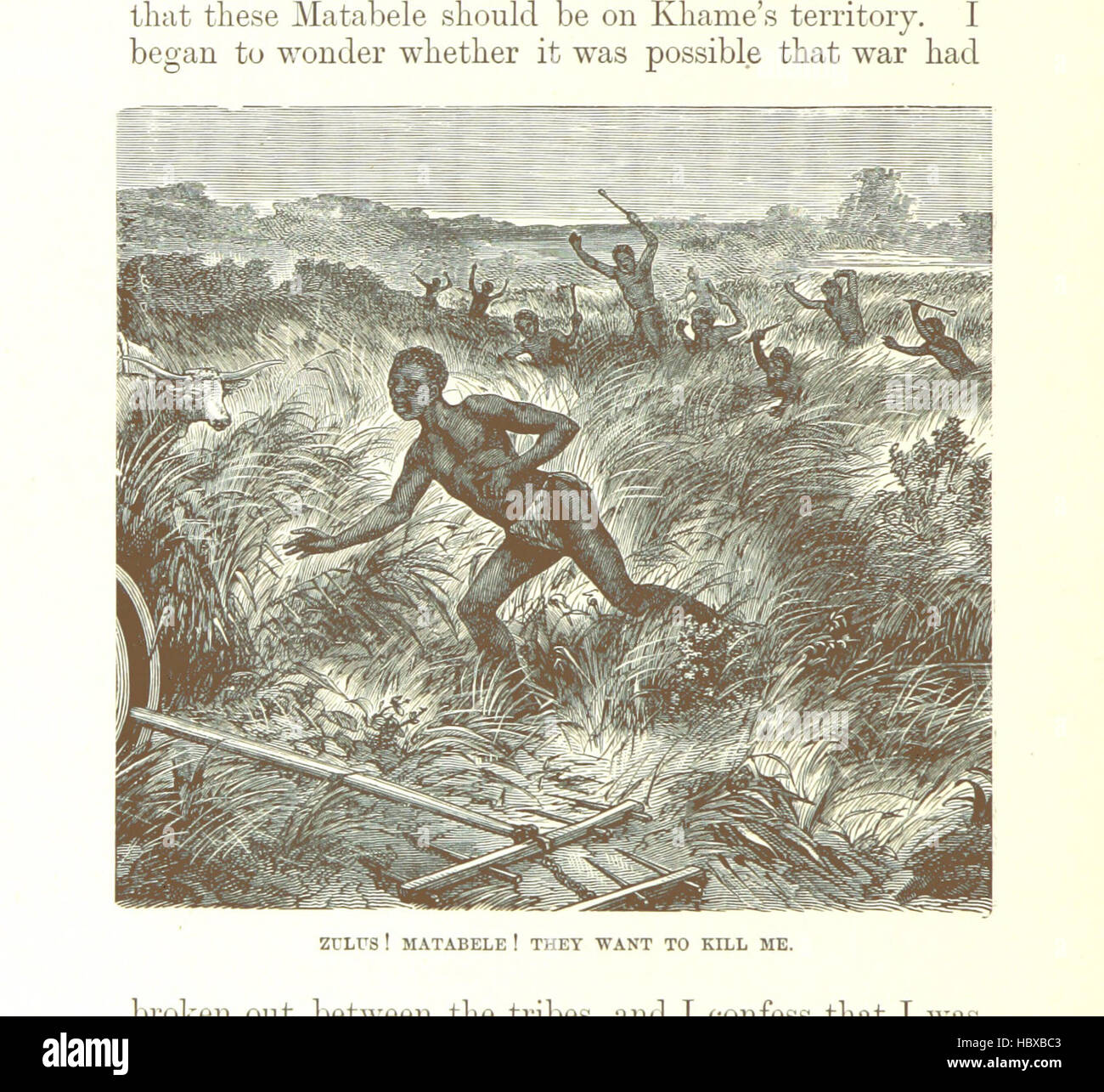 Bild entnommen Seite 310 des "großen Entdecker von Afrika. Mit Abbildungen und Karte "Bild entnommen Seite 310 des" großen Entdecker von Afrika Stockfoto