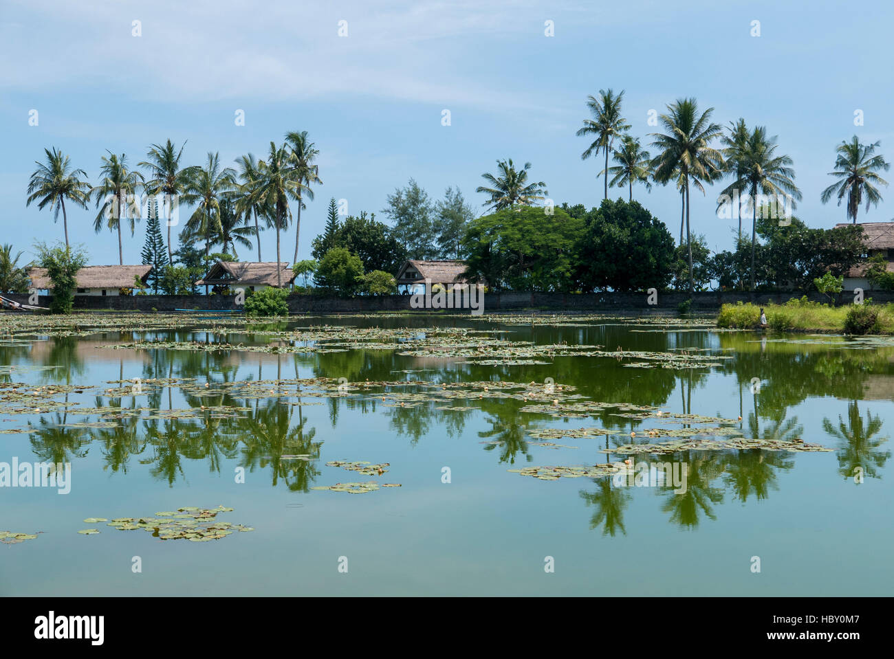 Tropische See und Palmen Bäume mit Wasserreflexionen in Candidasa, Bali Stockfoto