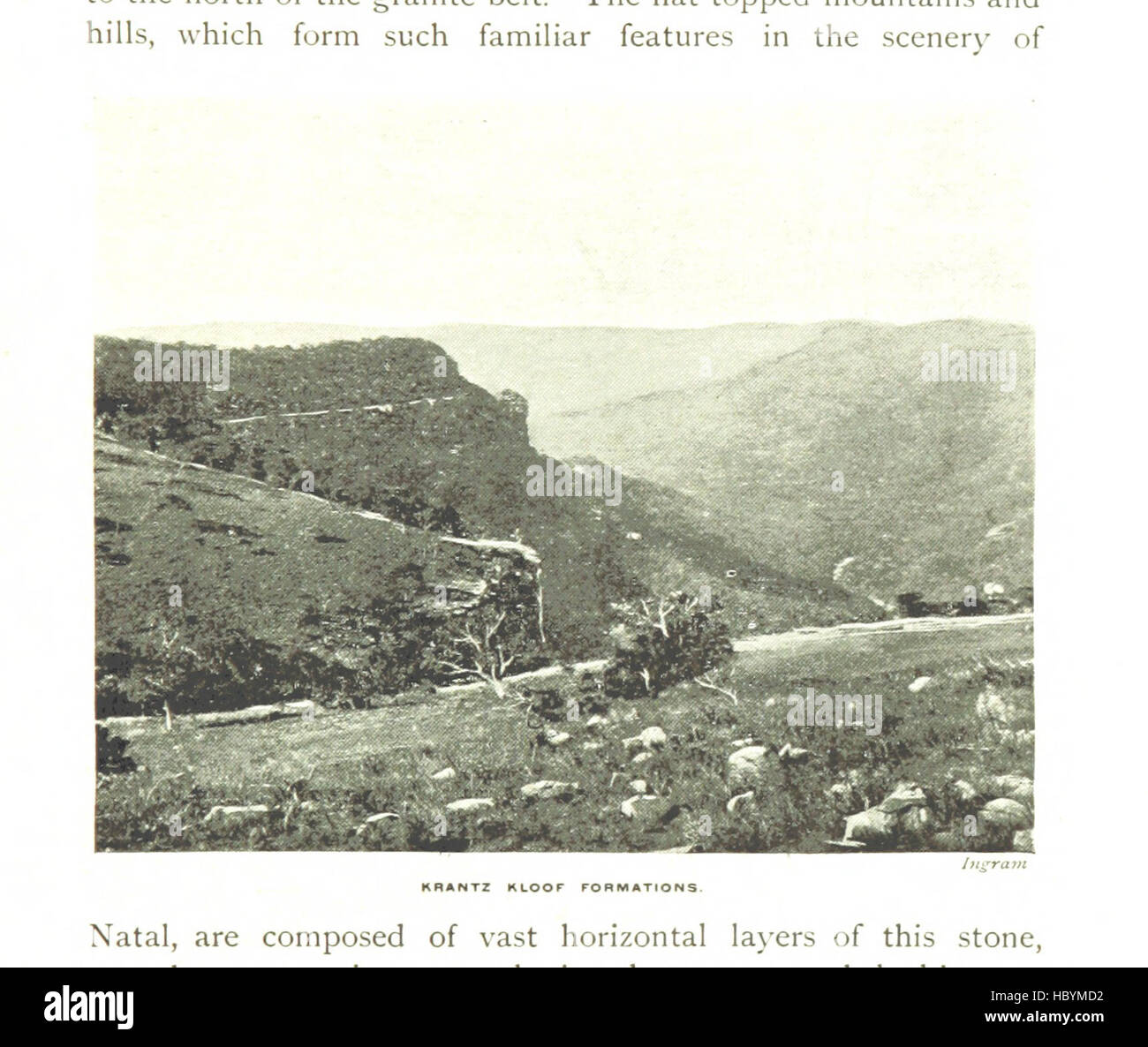 Bild entnommen Seite 71 von "The Kolonie Natal. Ein offizielles illustrierte Handbuch und Kursbuch "Bild entnommen Seite 71 von" The Kolonie Natal Stockfoto