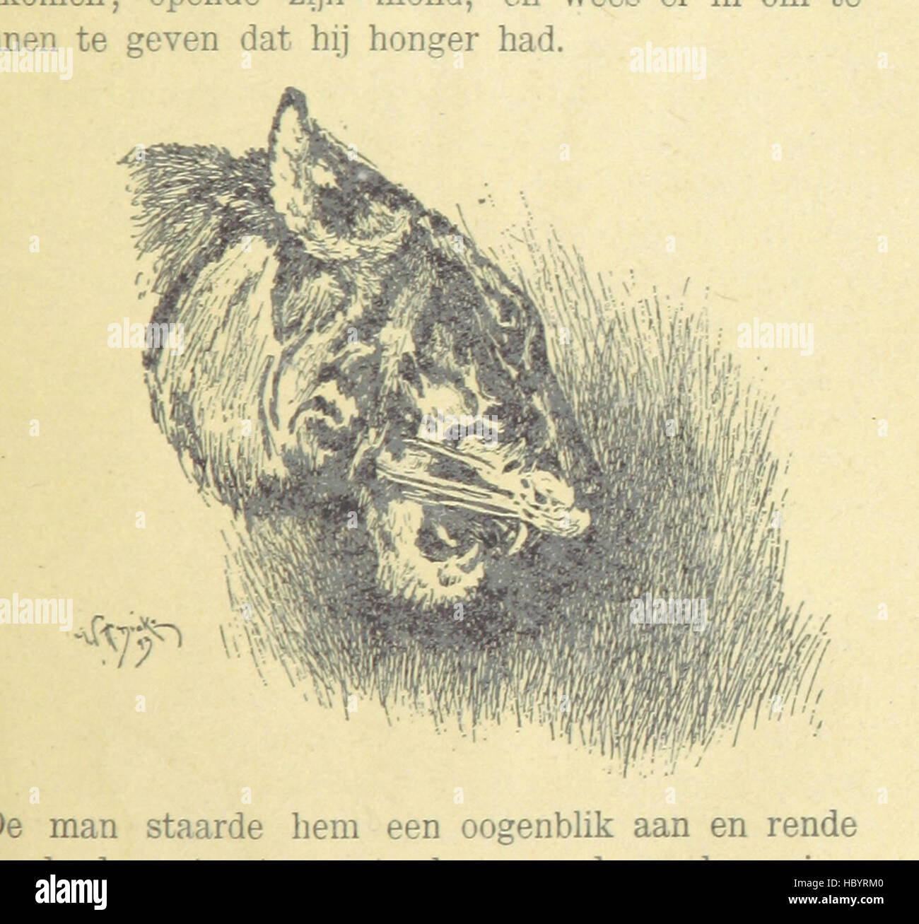 Bild von Seite 79 von "Van Dieren de Kinderen. Vertaling van Mevrouw Willeumier. Met Walze. [Sieben Erzählungen aus "Das Dschungelbuch" und "Wee Willie Winkie."] " Bild von Seite 79 von "Van Dieren de Kinderen Stockfoto