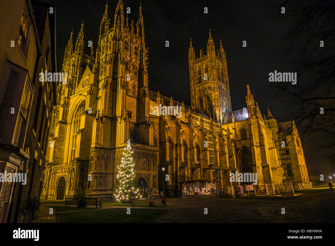 Canterbury Kathedrale Weihnachtsbaum Weihnachtskrippe mit Flutlicht Stockfoto