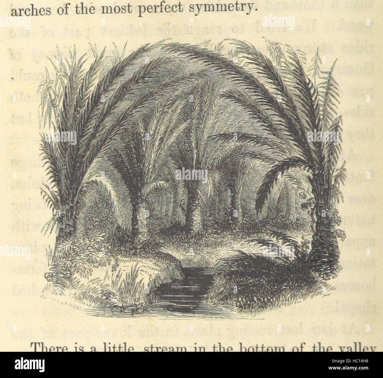 Bild von Seite 80 von "A Narrative der Expedition per Her Majestys Regierung an den Fluss Niger im Jahr 1841 unter dem Kommando von Kapitän H. D. Trotter. [Mit Platten.] " Bild von Seite 80 von "A Erzählung über die Stockfoto