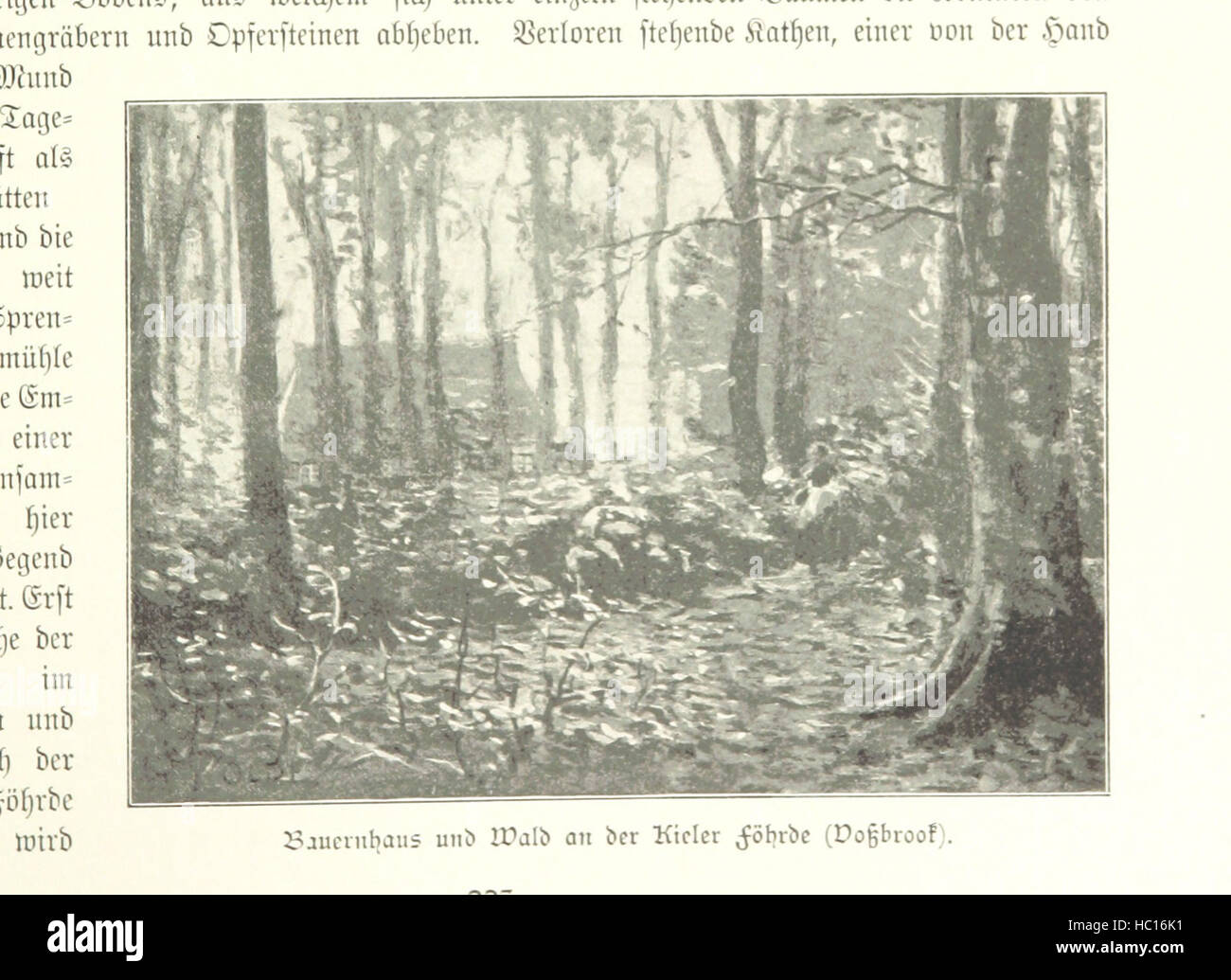 Bild von Seite 243 ' Schleswig-Holstein Meerumschlungen in Wort Und Bild... Herausgegeben von H. Haas, H. Krumm Und F. Stoltenberg, etc. "Bild entnommen Seite 243 ' Schleswig-Holstein Meerumschlungen in Wort Stockfoto