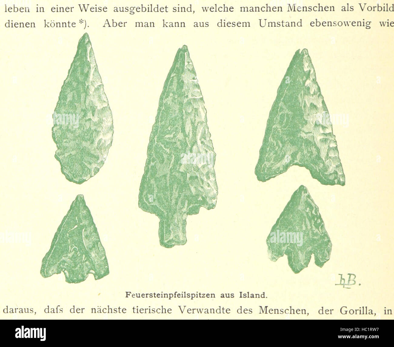 Aufnahme ab Seite 174 von "Kulturgeschichte... Vierte Auflage. Neu geschält von M. von Brandt [und andere], etc. "Aufnahme ab Seite 174 von" Kulturgeschichte seit Auflage Stockfoto