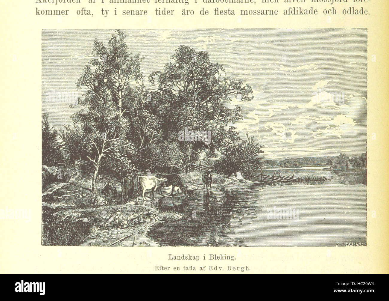 Bild entnommen Seite 400 von "Genom Sveriges Bygder. Skildringar af Vårt Land Och Folk... Tredje Upplagan, Genomsedd Och Tillökad af J. P. Velander. Med 545 Illustrationer' Bild entnommen Seite 400 von "Genom Sveriges Bygder Skildringar Stockfoto