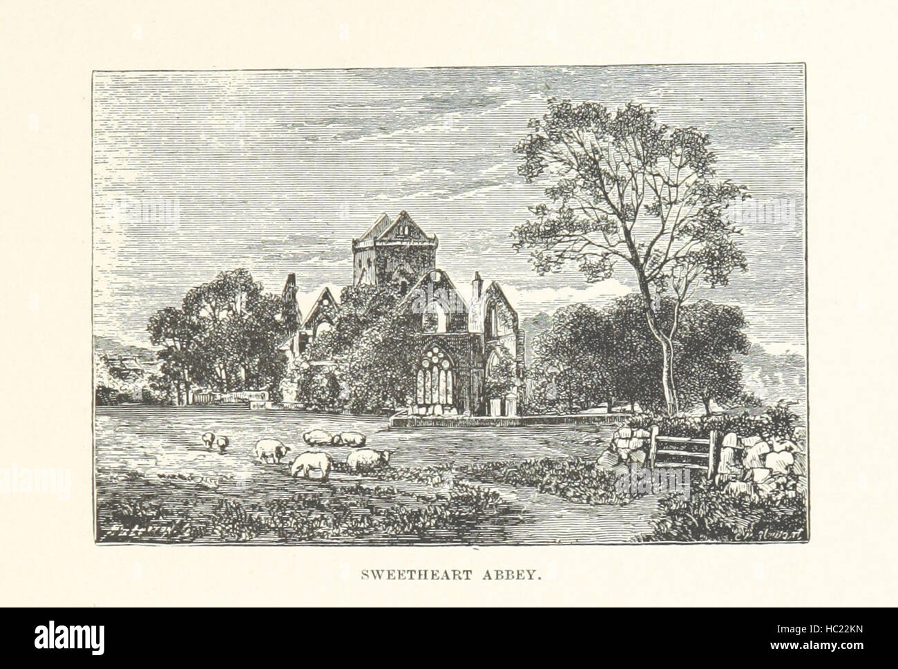 Bild entnommen Seite 421 von "Rambles in Galloway. (Zweite Ausgabe). L.P. "Bild entnommen Seite 421 von" Rambles in Galloway (zweiter Stockfoto