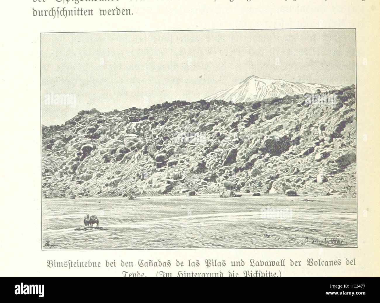 Bild entnommen Seite 200 von "sterben Insel Teneriffa. Wanderungen Im Canarischen Hoch-Und Tiefland... Mit 4 Originalkarten Und 33 Textbildern "Bild entnommen Seite 200 von" sterben Insel Teneriffa Familienoberhaupt Stockfoto