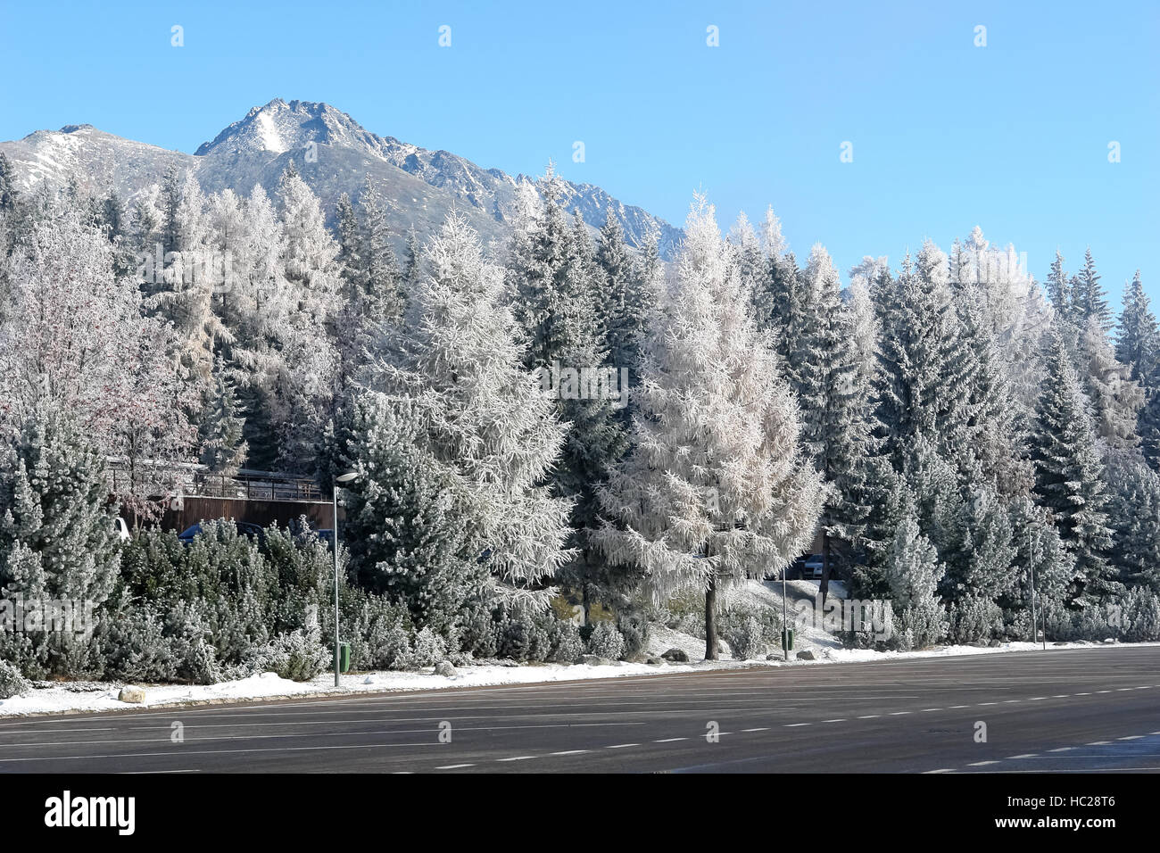 Blick auf die Straße, schneebedeckte Bäume und Berge in der Slowakei. Stockfoto