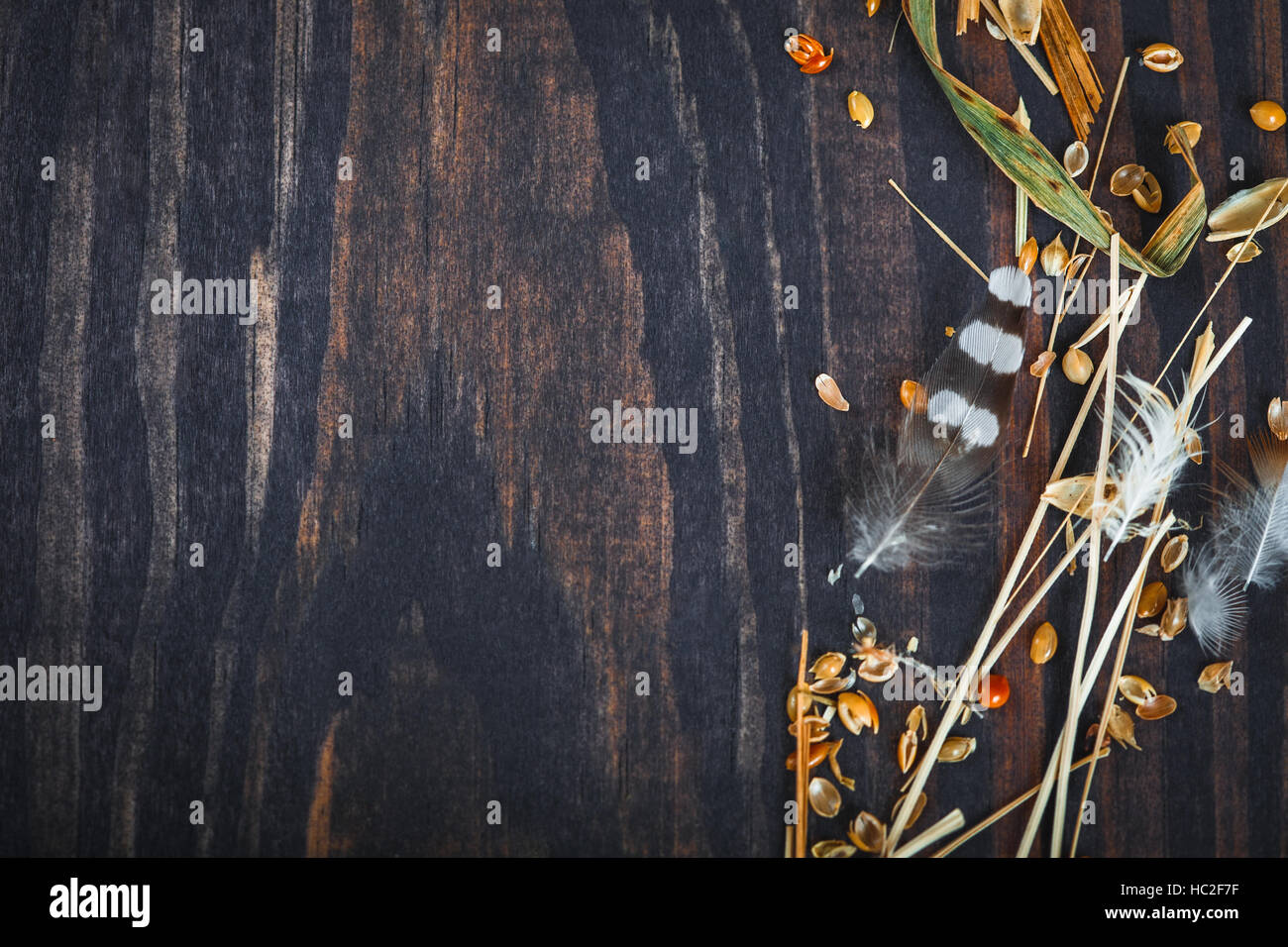 Dunklem Holz mit Heu, Federn und Getreide Hirse. Stockfoto