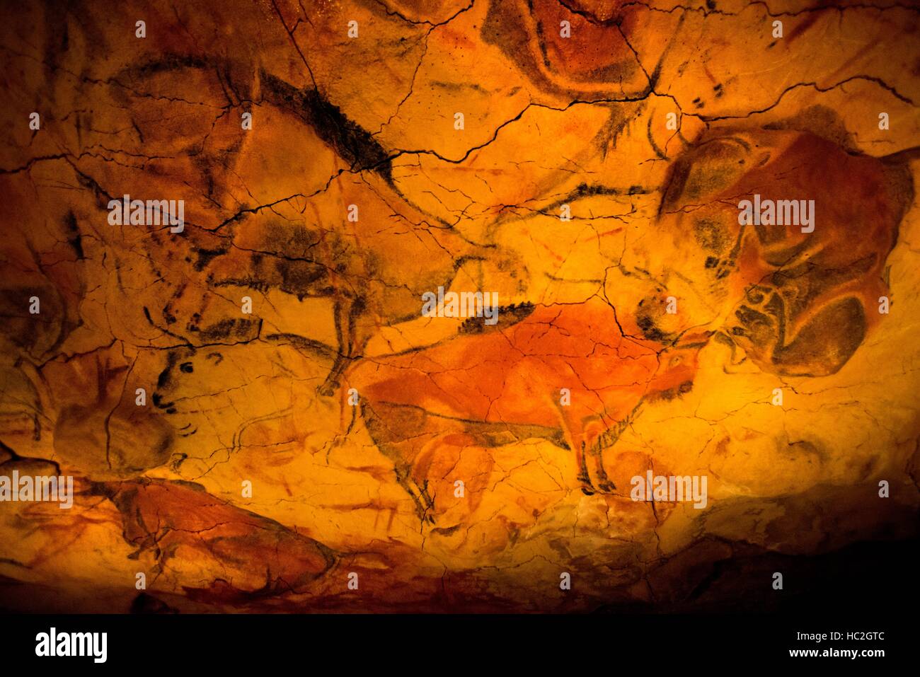 Bison-Malerei in Altamira Höhlen, Jungpaläolithikum Museum, Santander, Kantabrien, Spanien. Eine der Stationen der Transcantabrico Gran Lujo Luxus trai Stockfoto