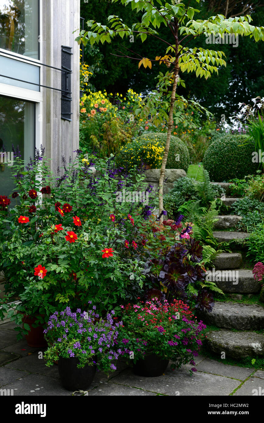 Steinpfad steil Gartenterrasse Bereich Patthana Gärten Wicklow mischen Mischbett Grenze Display Blumen Blüte RM Floral Stockfoto