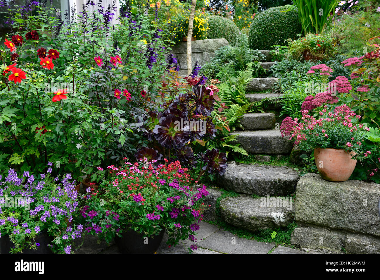 Steinpfad steil Gartenterrasse Bereich Patthana Gärten Wicklow mischen Mischbett Grenze Display Blumen Blüte RM Floral Stockfoto
