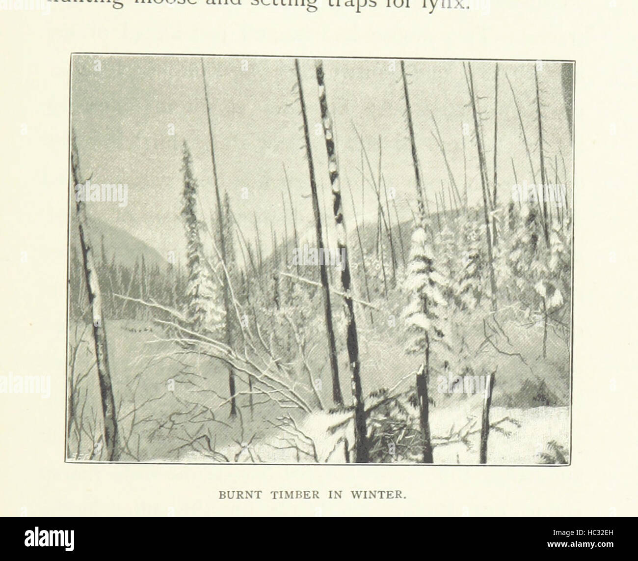 Bild entnommen Seite 123 von "durch die subarktischen Wald. Ein Bericht über eine Kanu Reise von Fort Wrangel zu Polly Seen und auf dem Yukon River bis aufs Behring... Mit Abbildungen und Karten Bild entnommen Seite 123 von "durch die subarktischen Wald Stockfoto