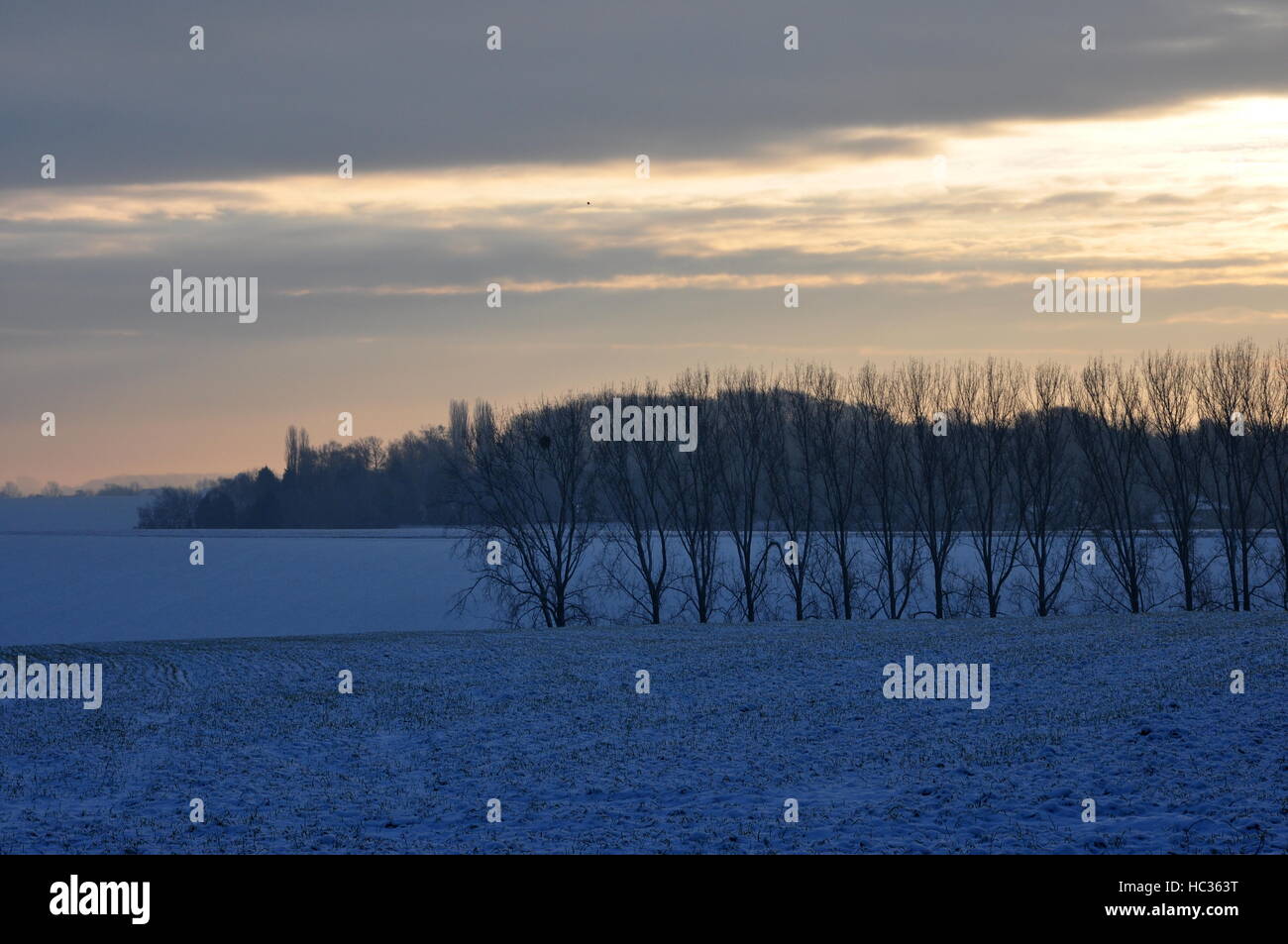 Schneelandschaft in Belgien bei Sonnenaufgang Stockfoto