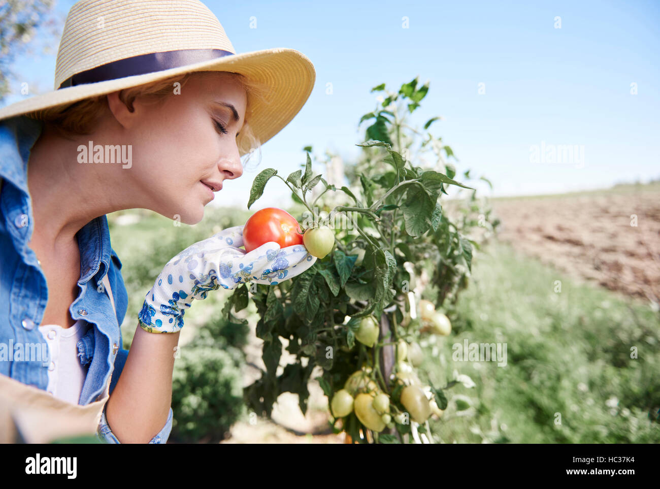 Stolze Frau ihre eigenen Tomaten-Plantage Stockfoto