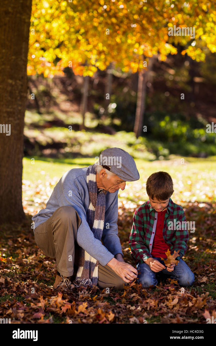 Großvater und Enkel spielen mit Herbstlaub Stockfoto