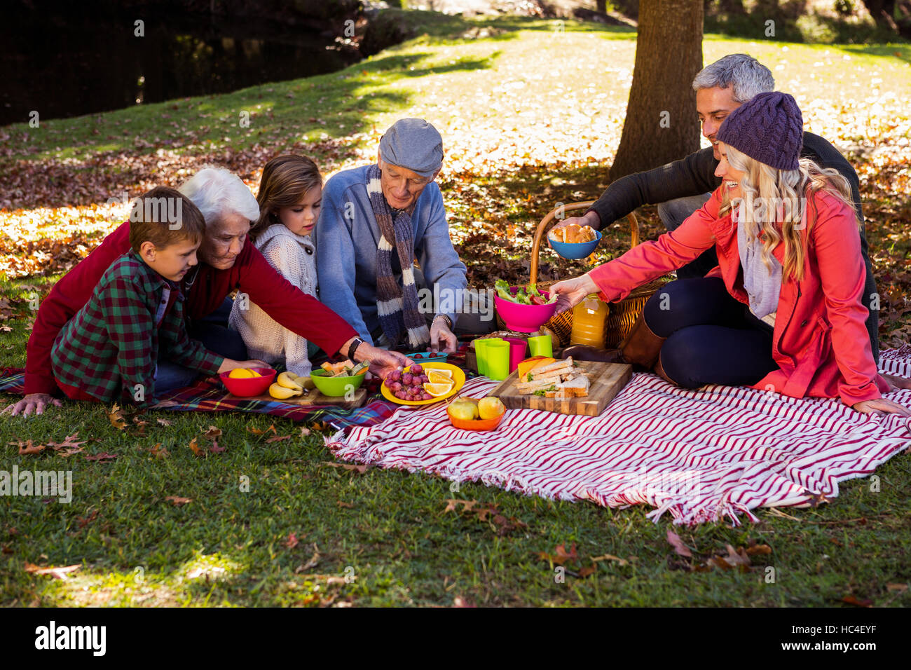 Familie picknicken Stockfoto
