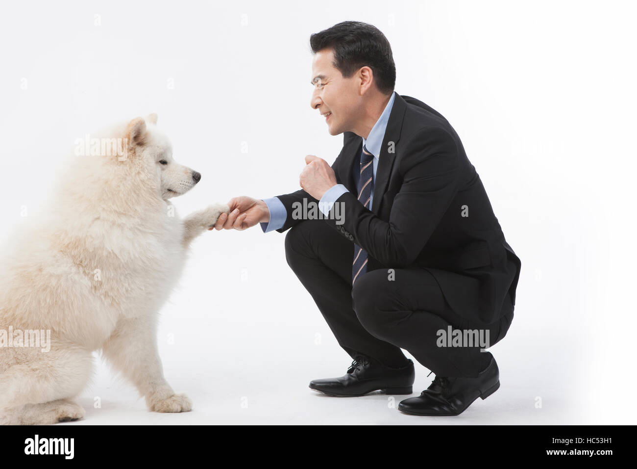 Lächelnd Mitte Geschäftsmann seinen Hund Ausbildung im Alter von Stockfoto
