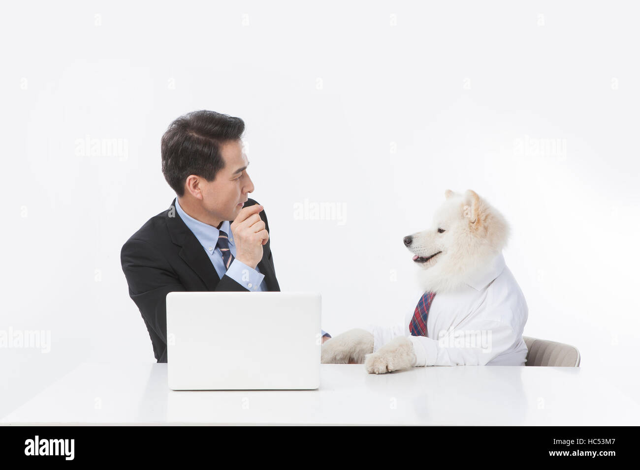 Seite Ansicht Porträt des Nahen im Alter Geschäftsmann und sein Hund von Angesicht zu Angesicht Stockfoto