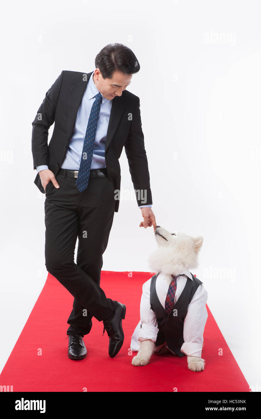 Applying Geschäftsmann und seinem Hund auf roten Teppich Stockfoto