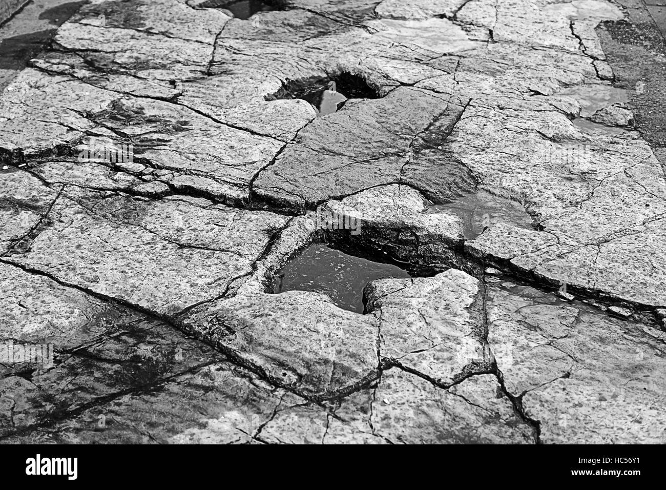 Dinosaurier-Fußabdruck auf Stein, ausgestorbene Tiere Stockfoto