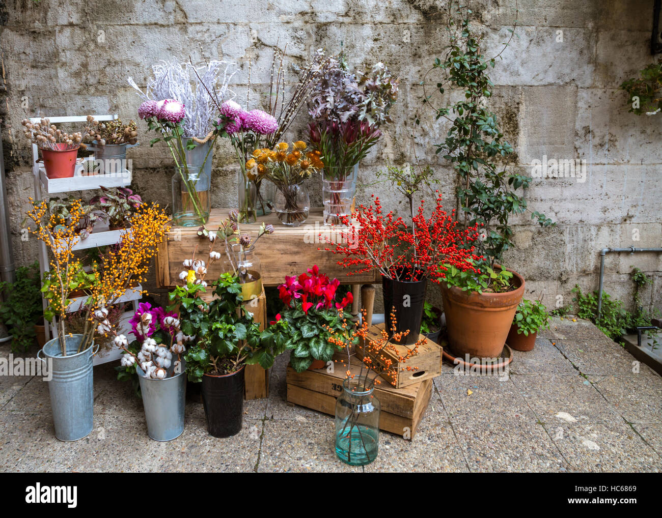 Schone Blumen Zu Verkaufen Mit Steinmauer Im Hintergrund Anordnung In Straussen In Topfe Und Eimer In Einem Blumenladen Vor Weihnachten In Istanbul Turkei Stockfotografie Alamy