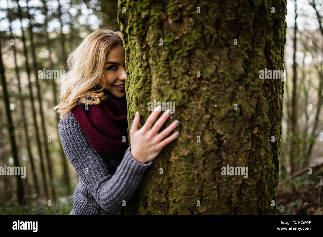 Schöne Frau versteckt sich hinter Baumstamm im Wald Stockfoto