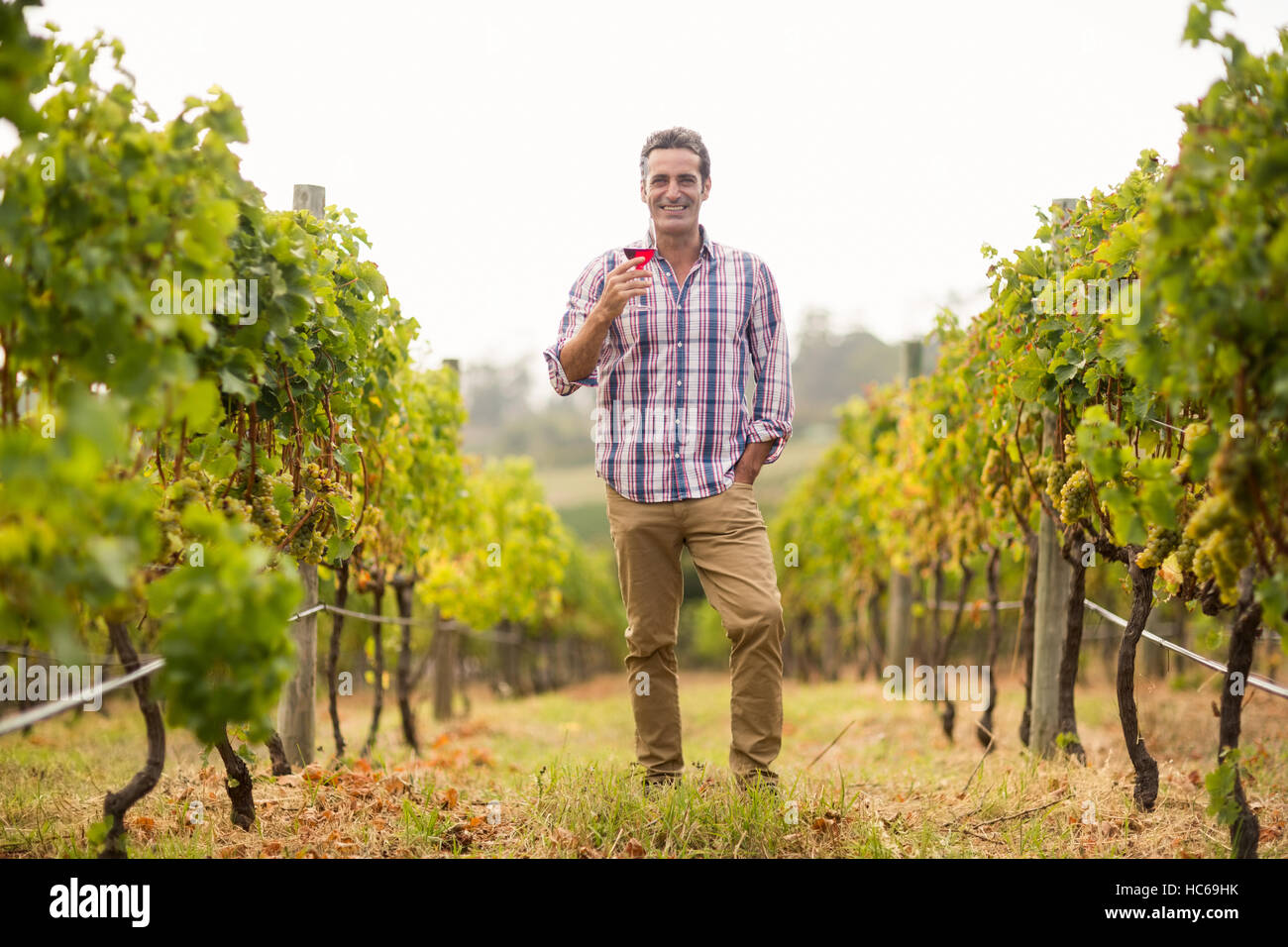 Porträt von lächelnden männlichen Winzer mit einem Glas Wein Stockfoto
