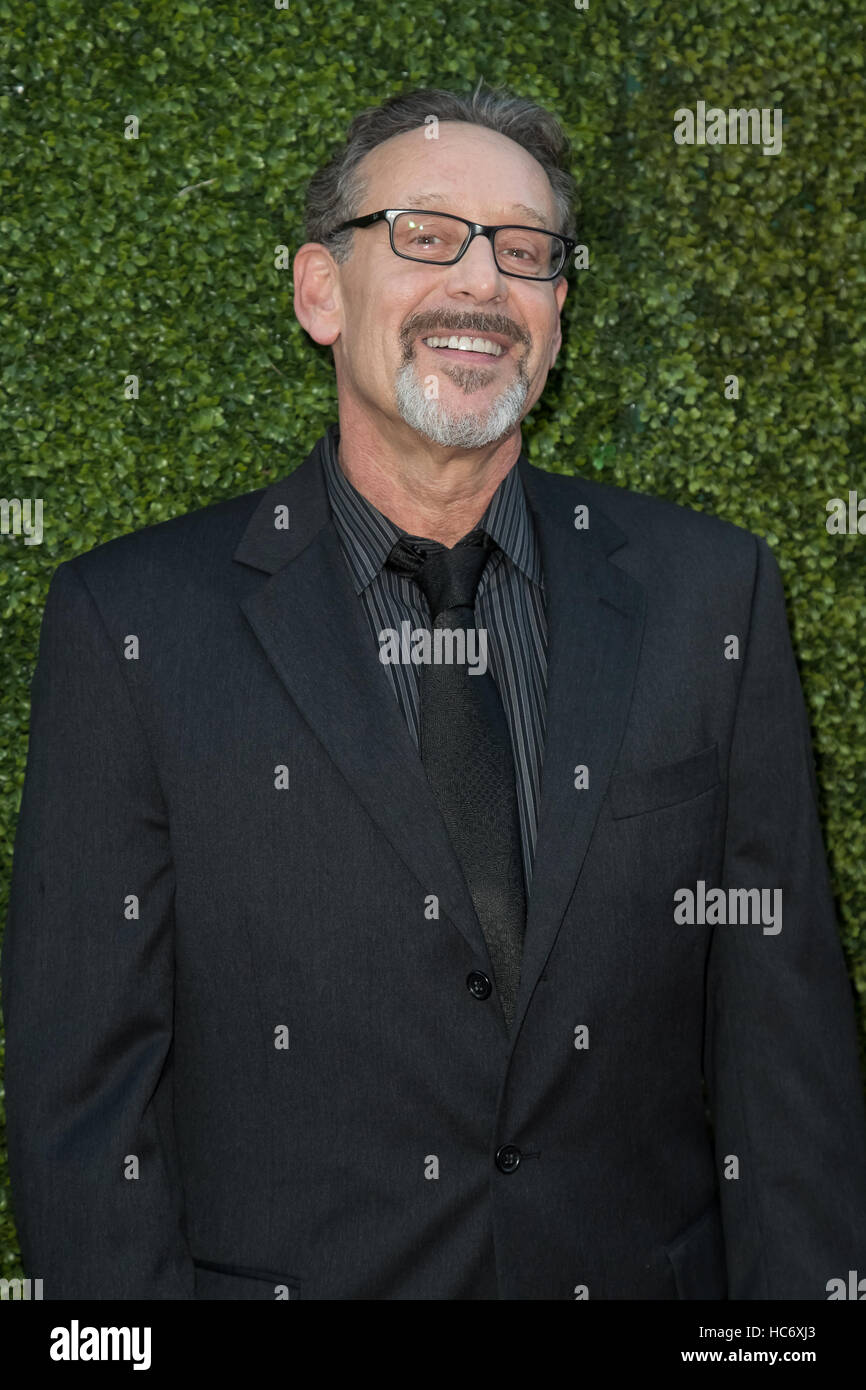 CBS, CW, Showtime TCA Sommer Party im Pacific Design Center - Ankünfte mit: Rob Steinberg wo: Hollywood, Kalifornien, Vereinigte Staaten, wann: 10. August 2016 Stockfoto