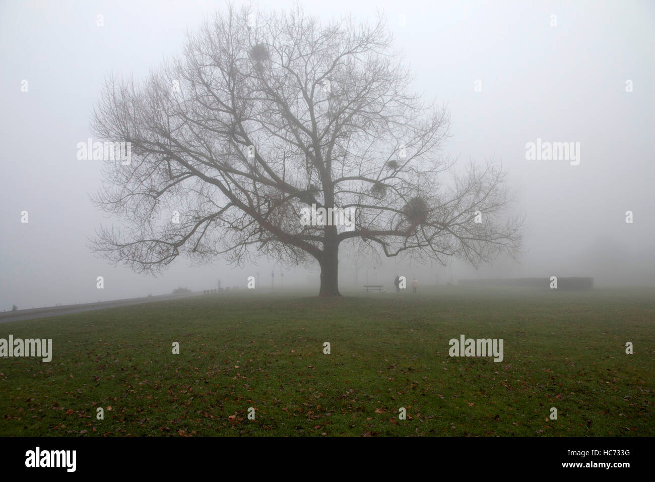 Ein nebliger Tag am Riverside Park Southampton, die neben dem Fluss Itchen läuft, die durch den Nebel nicht im Bild sichtbar ist Stockfoto