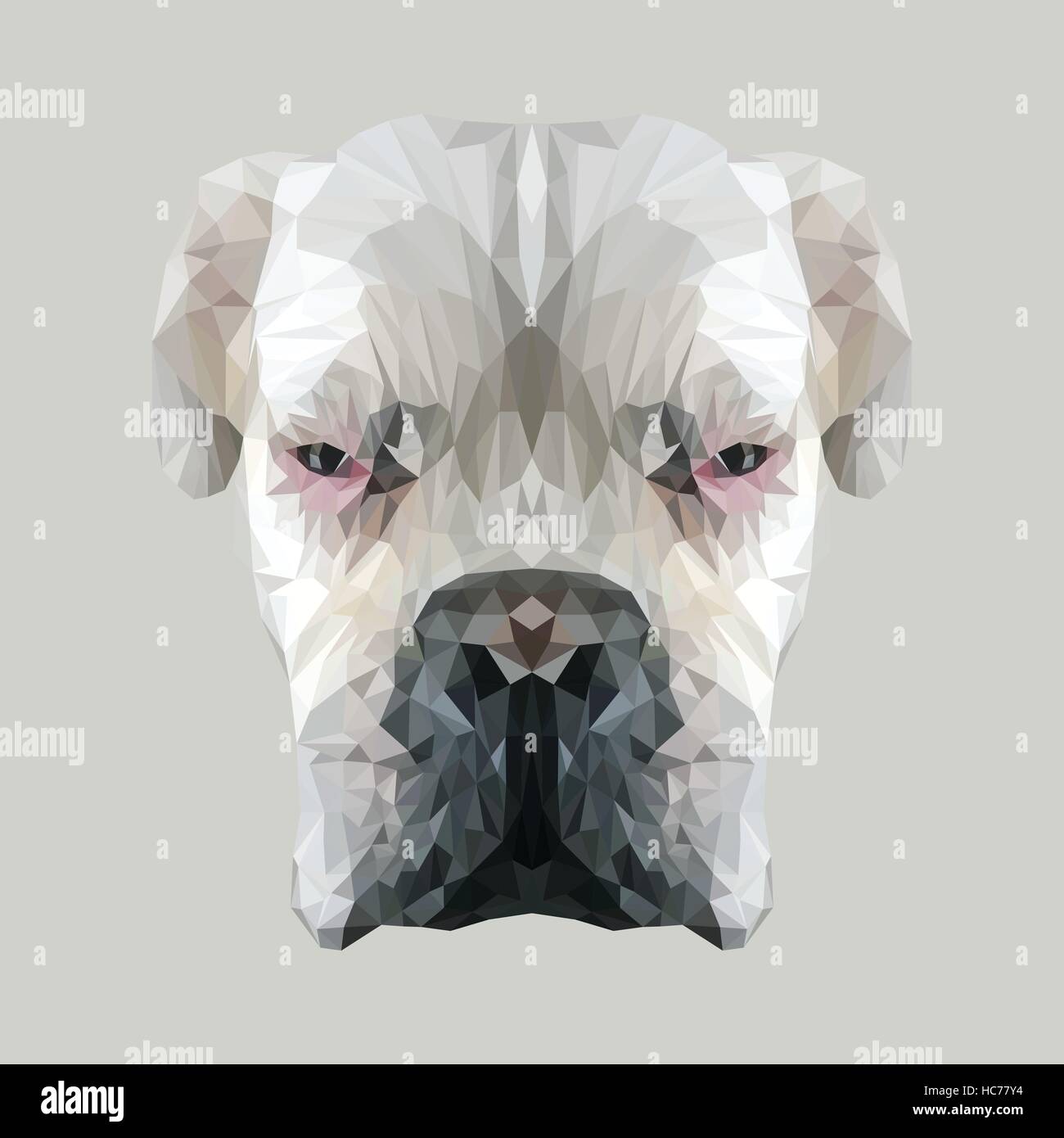 Weißen Albino Boxer Hund low-Poly Design. Dreieck-Vektor-illustration Stock Vektor