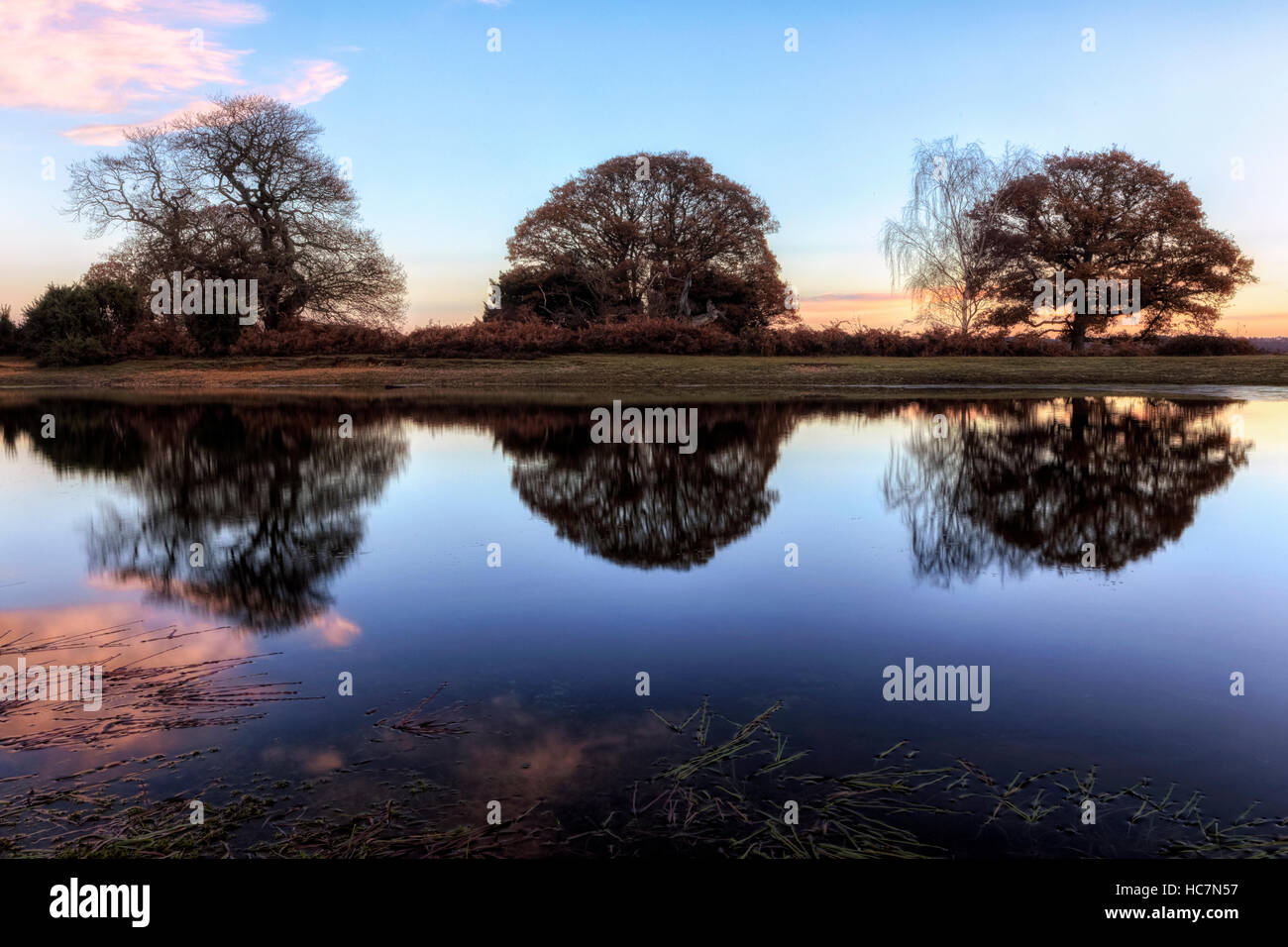 Bratley Ansicht, New Forest, Hampshire, England, Vereinigtes Königreich Stockfoto