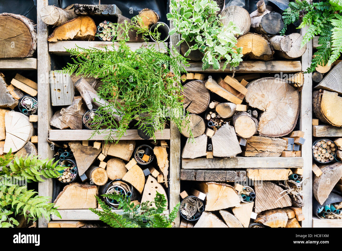 Detail eines Fehler-Hotels aus verschiedenen Größen und Formen aus Holz und Pappe hergestellt. Stockfoto