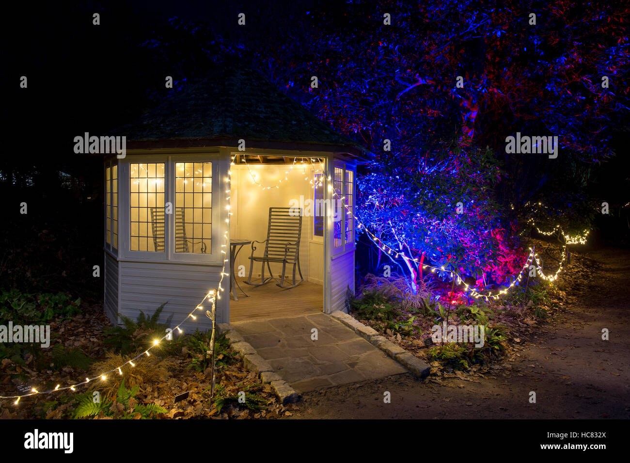 Weihnachtsbeleuchtung in RHS Wisley Gardens, Surrey, England. Weihnachten Leuchten Festival 2016 Stockfoto