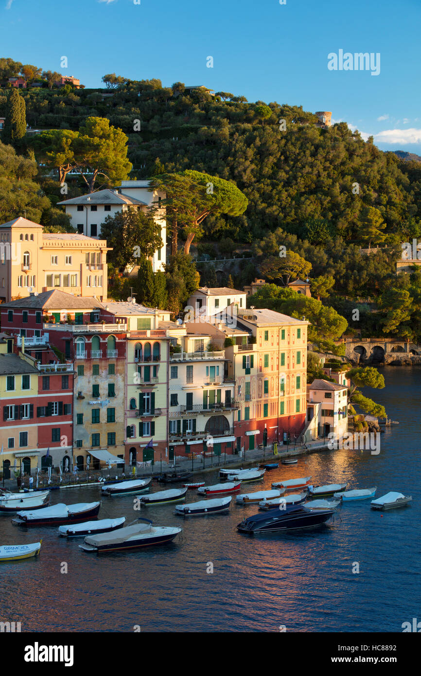 Am frühen Morgen Blick über den Hafen von Portofino, Ligurien, Italien Stockfoto