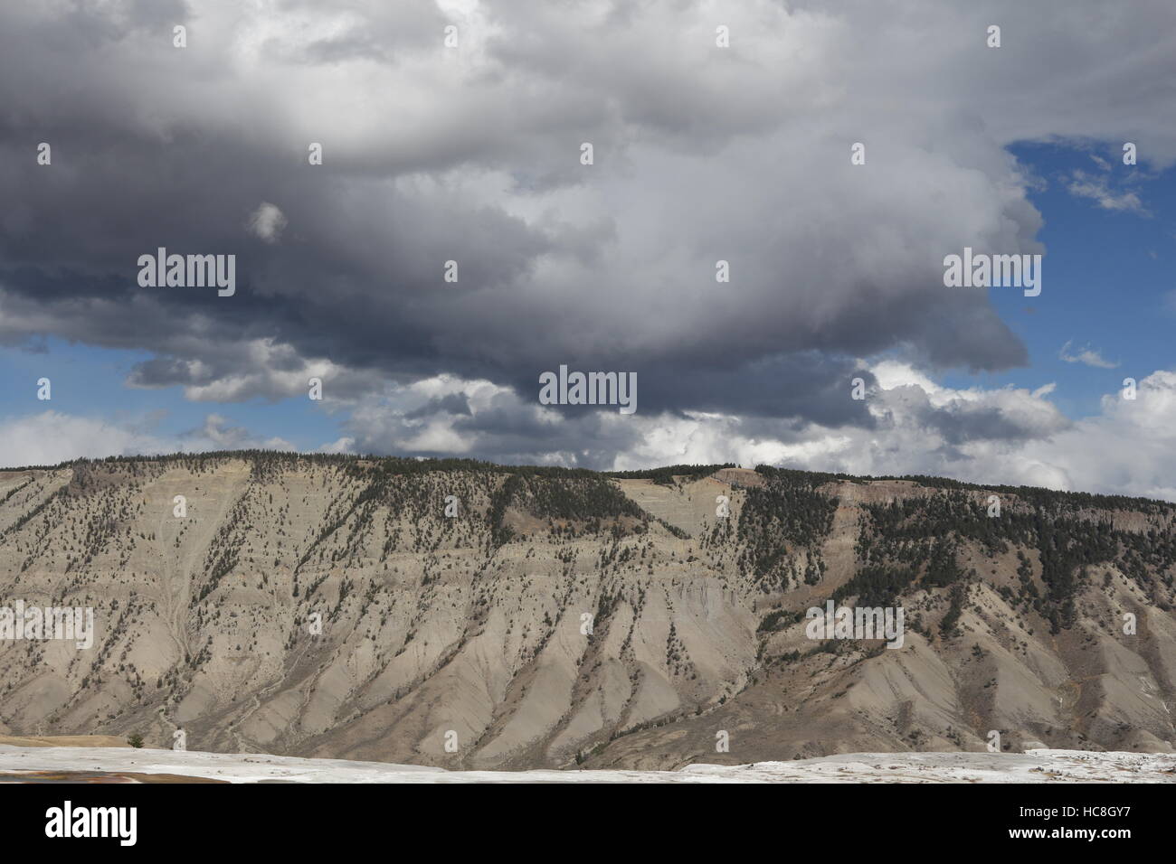 Mt. Everts im Yellowstone-Nationalpark, Wyoming von Mammoth Hot Springs aus gesehen Stockfoto