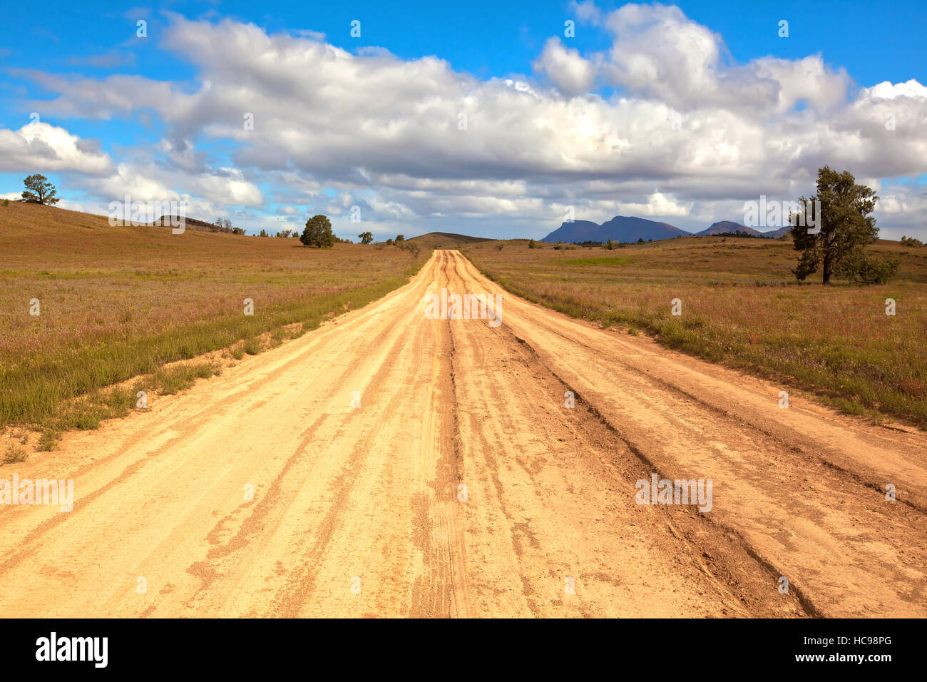 Bunyeroo Valley Road Outback-Landschaft Landschaften Flinders reicht South Australia Australia Stockfoto