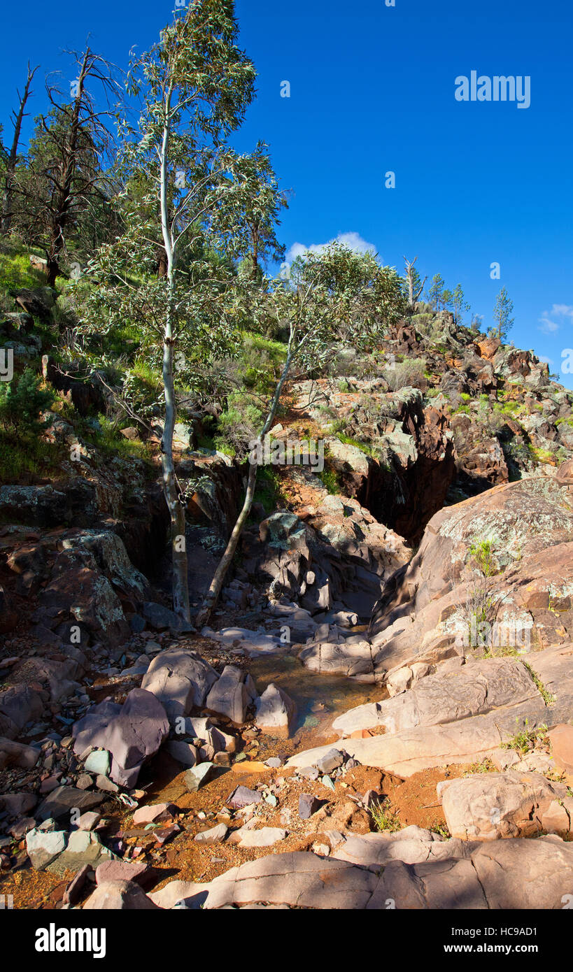 Heiligen Canyon Flinders Ranges, South Australia Stockfoto