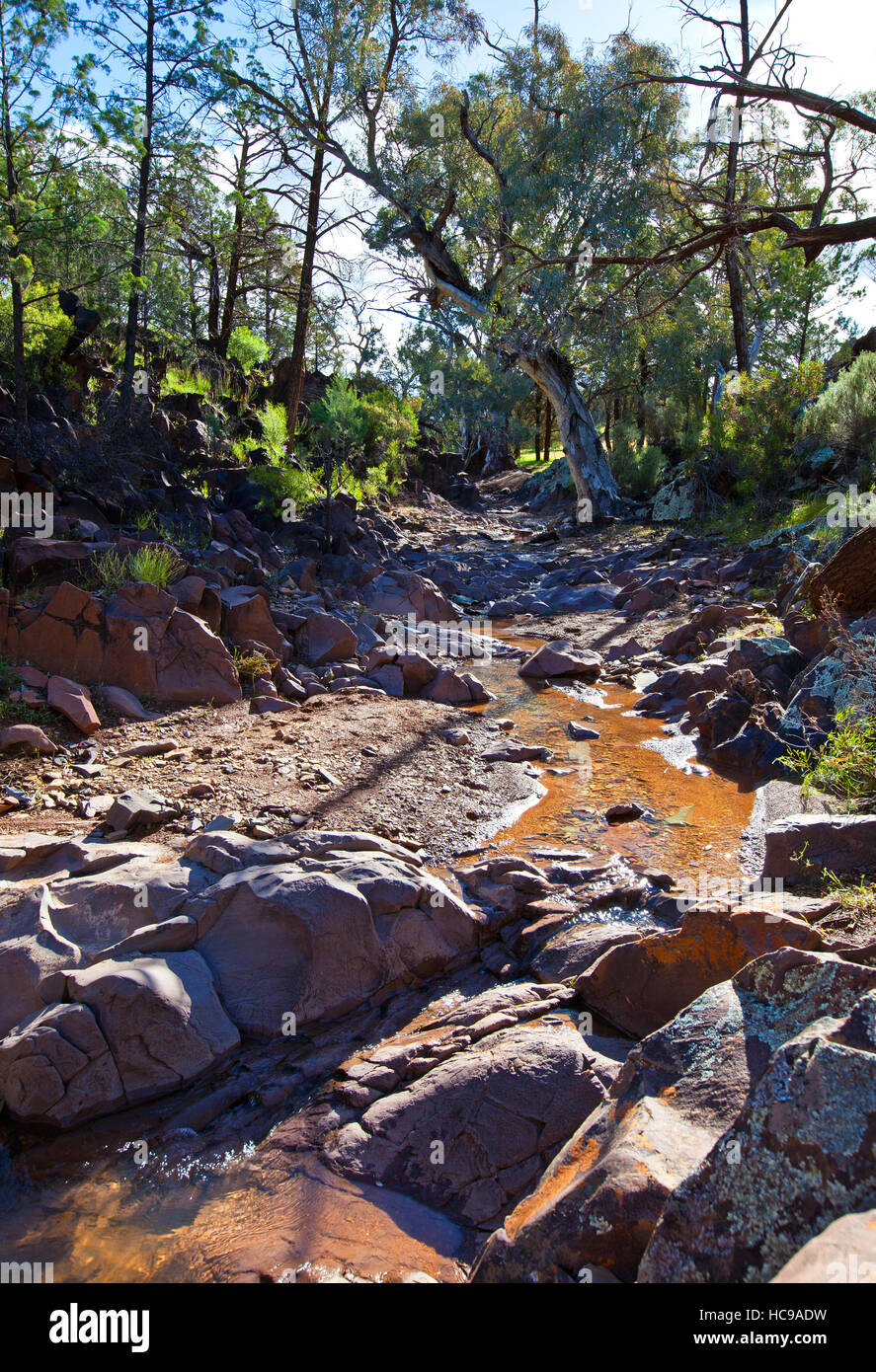 Heiligen Canyon Flinders Ranges, South Australia Stockfoto