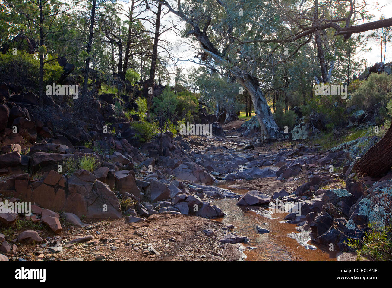 Heiligen Canyon Flinders Ranges, South Australia Stockfoto