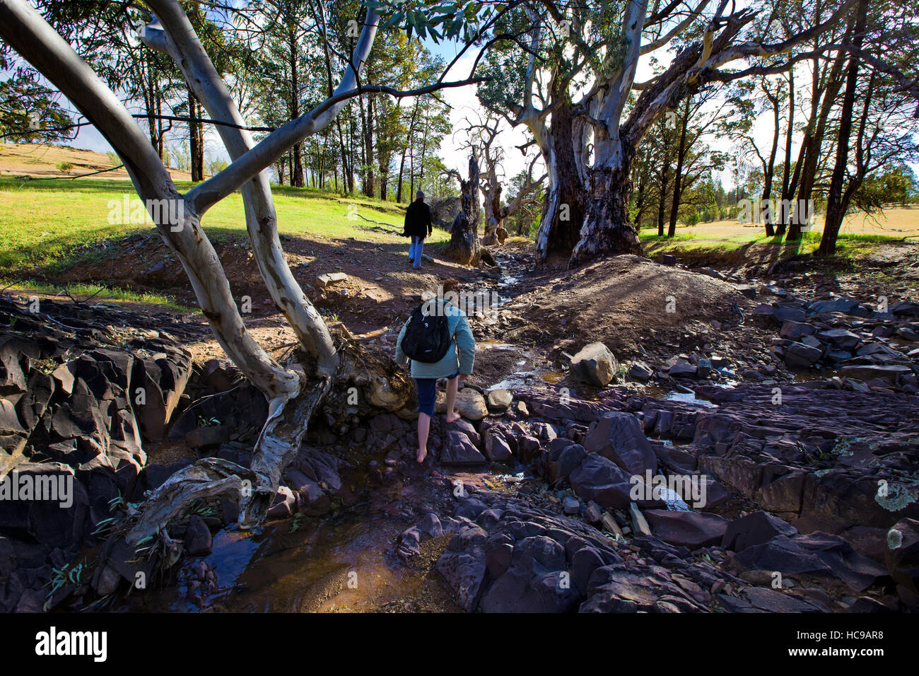 Heiligen Canyon Flinders Ranges, South Australia Stockfoto