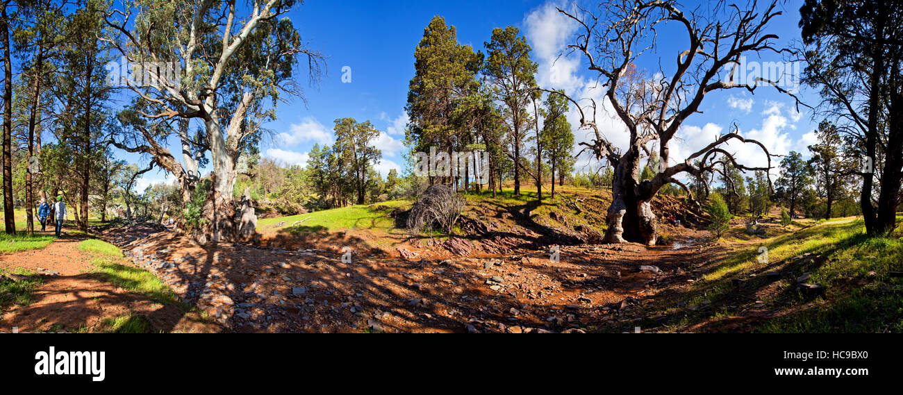 Heiligen Canyon Flinders Ranges, South Australia Stockfoto