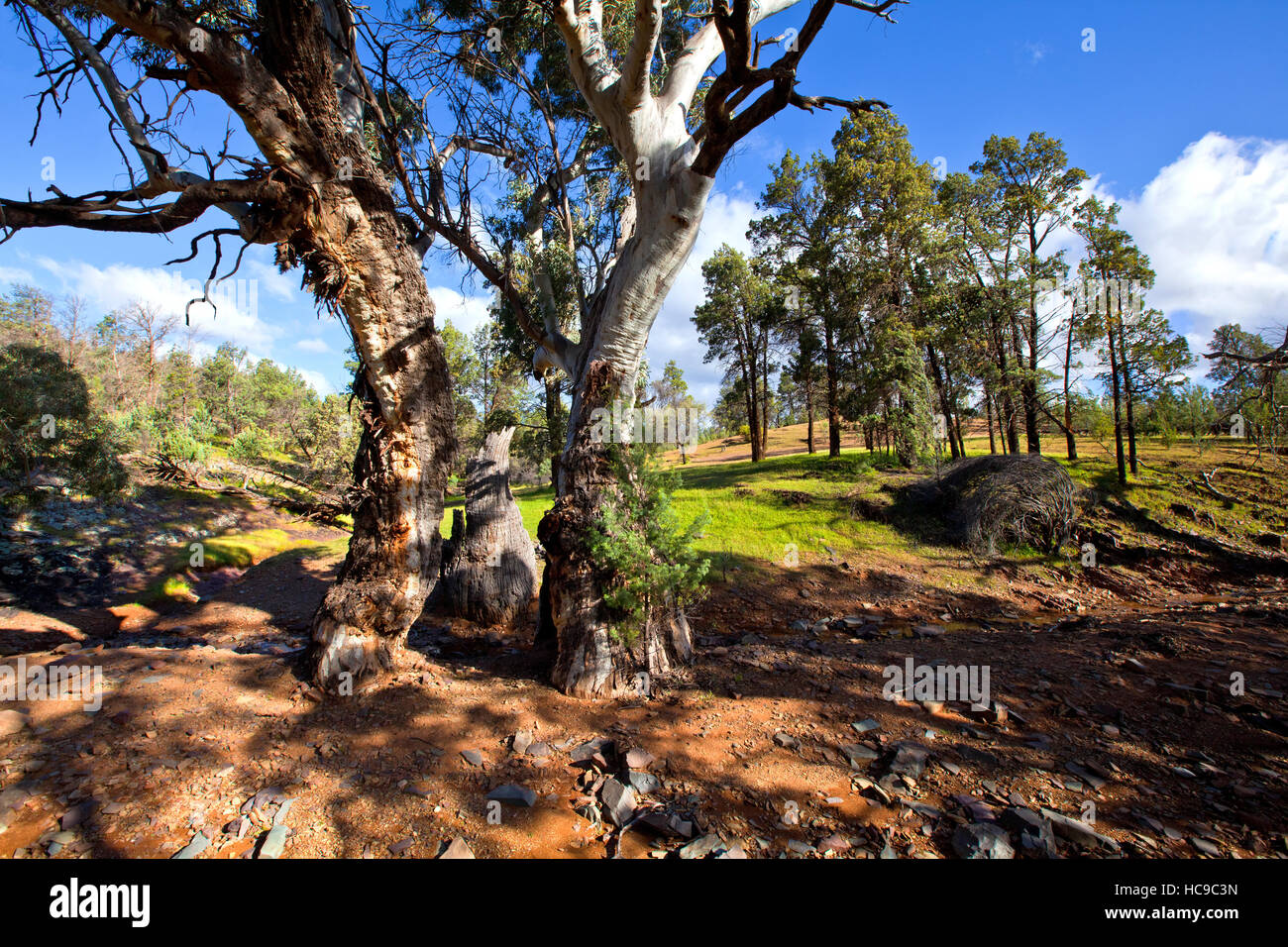 Heiligen Canyon Flinders Ranges, South Australia Stockfoto