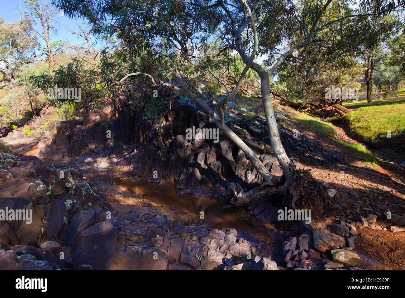 Heiligen Canyon Flinders Ranges, South Australia Stockfoto