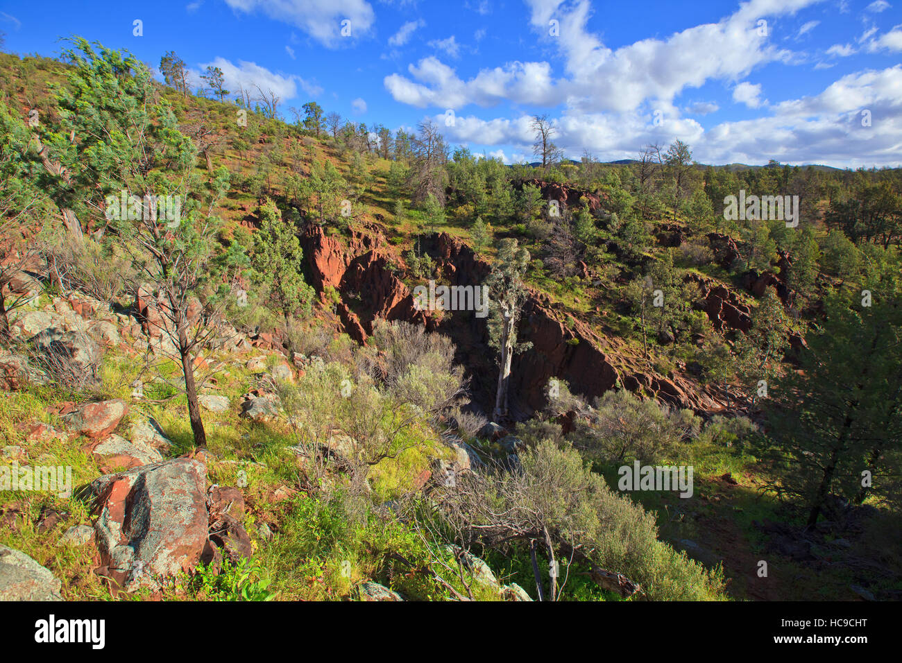 Heiligen Canyon Flinders Ranges, South Australia Stockfoto