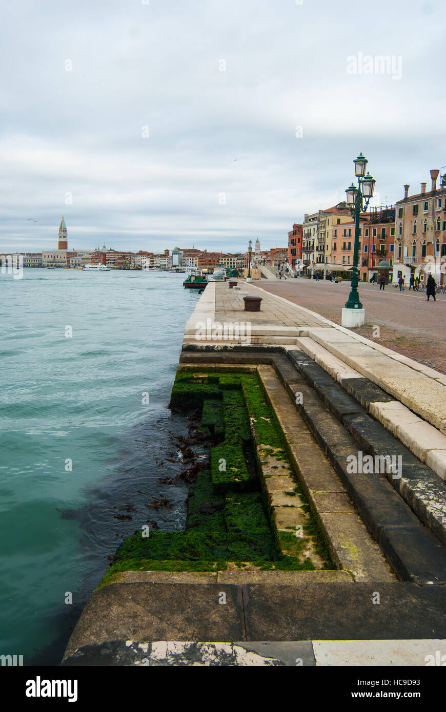 Moos bedeckt Schritte, Venedig, Italien Stockfoto