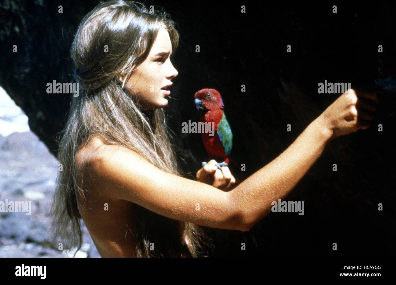 Die Blaue Lagune Brooke Shields Alter The blue lagoon brooke shields -Fotos und -Bildmaterial in hoher